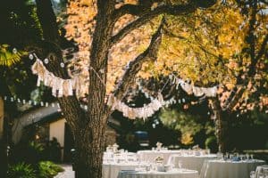 Backyard BBQ Wedding: The Ultimate How-To Guide & Menu