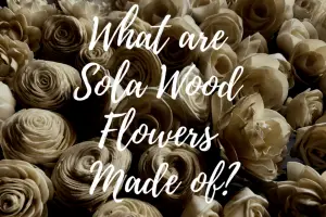 Read more about the article What Are Sola Wood Flowers Made of?